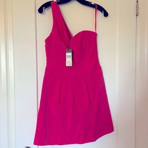Fuschia silk dress! Bcbg!